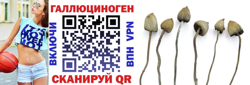 Псилоцибиновые грибы прущие грибы  наркотики  Еманжелинск 